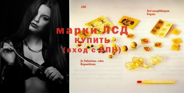 хмурый Аркадак