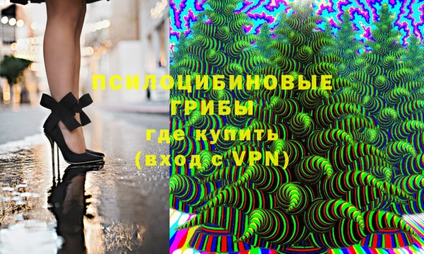 дурь Арсеньев
