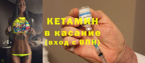 хмурый Аркадак