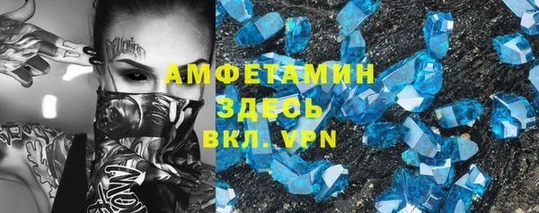 хмурый Аркадак