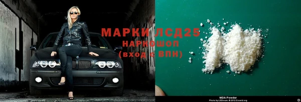 хмурый Аркадак