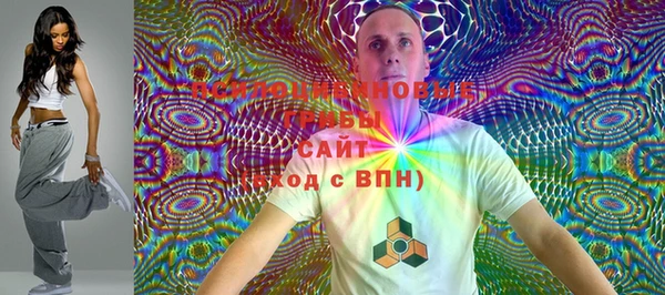 хмурый Аркадак