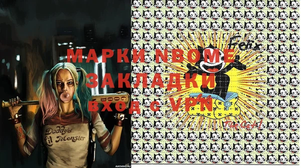 хмурый Аркадак