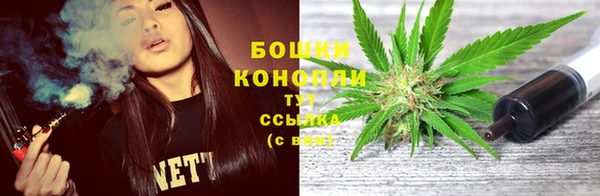 дурь Арсеньев