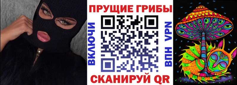 где купить наркотик  Скопин  Псилоцибиновые грибы Psilocybe 